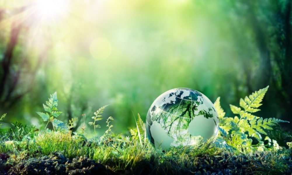 Why-ISO-standards-are-crucial-for-organic-and-natural-transparency-CFTAS-president_wrbm_large-1